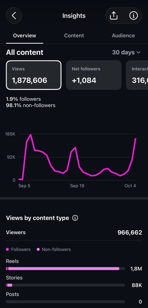 Instagram analytics showing 1,878,606 views over 30 days